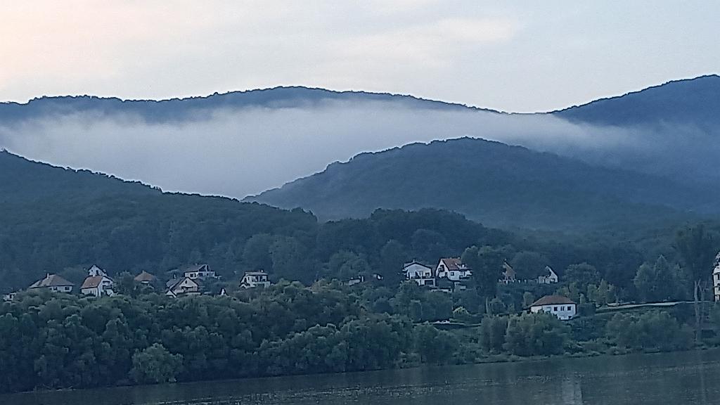 Donau (156)